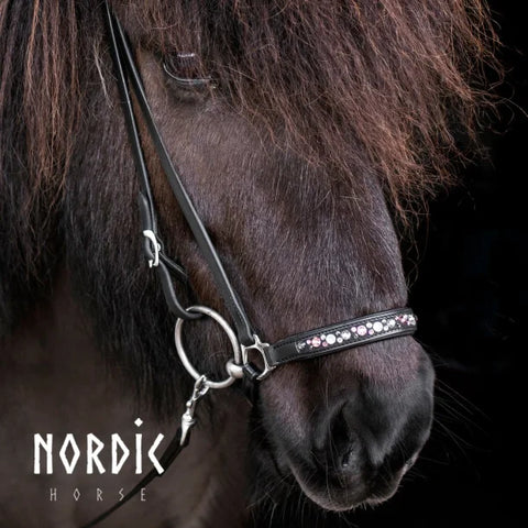 Nordic Horse, Hannoveranischer Nasenriemen, Colour Mix in Pink/Blau/Türkis/Grün