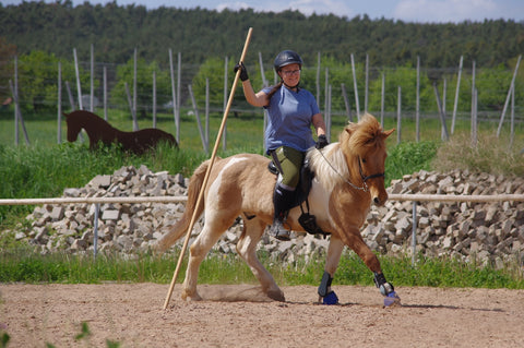 Is Knapar - EVE Reitleggings mit leichtem Body-Shaping-Effekt!
