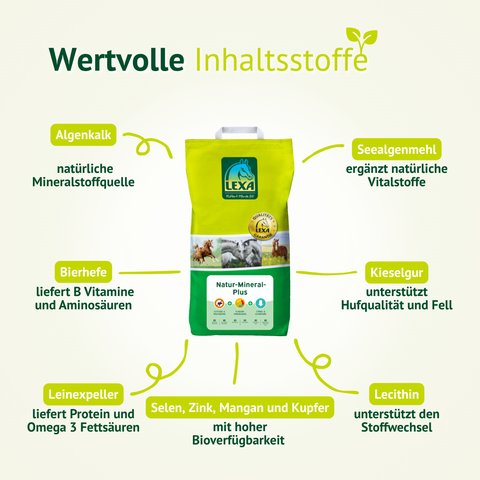 Lexa Natur-Mineral-Plus