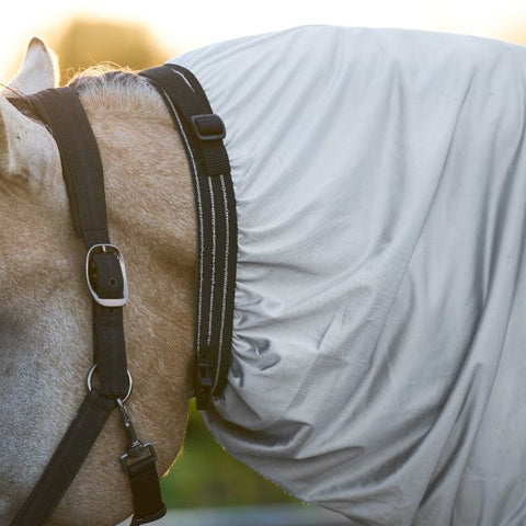 Imperial Riding Ekzemerdecke IRH