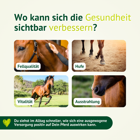 Lexa Natur-Mineral-Plus