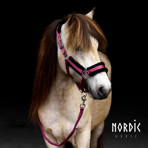 Nordic Horse Bordeaux Strick