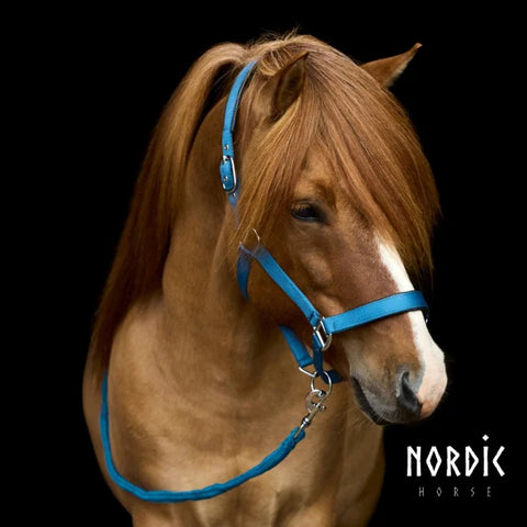 Nordic Horse Strick Ocean Blue