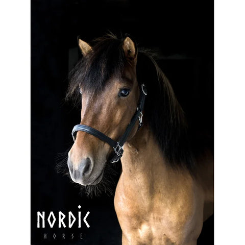 Nordic Horse schwarzes Lederhalfter