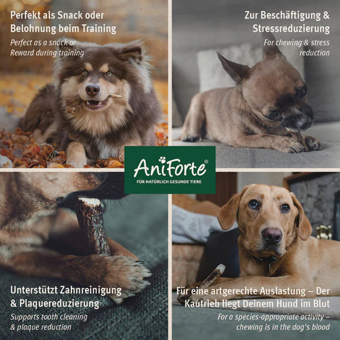 Aniforte Hirschgeweih, 50g