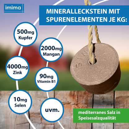 Equiblock Mineralleckstein