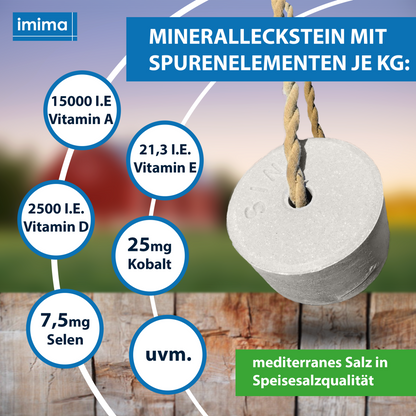 MultiVitamin Bronchial Mineralleckstein