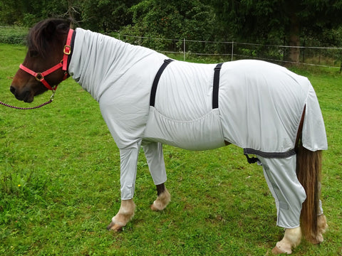 RSH Bermudas für die Vorderbeine