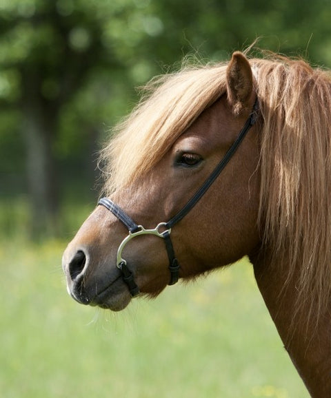 ICE-line Bügelreithalfter