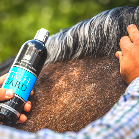 Carr & Day & Martin ITCHGARD