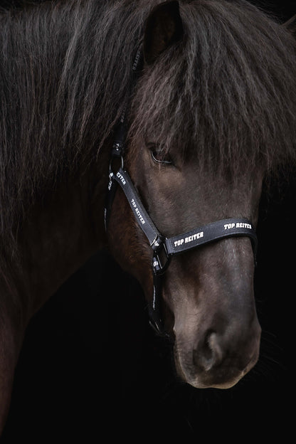 Top Reiter Halfter-Set "TR LOGO" mit Strick, schwarz