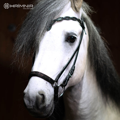 Hrimnir hannoveranischer Nasenriemen- Lava