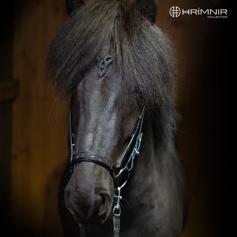 Hrimnir hannoveranischer Nasenriemen- Lava
