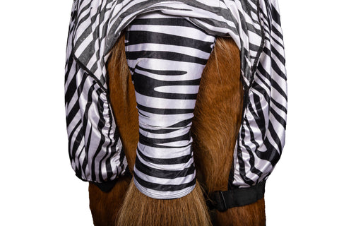 Eques Ekzemdecke Zebra