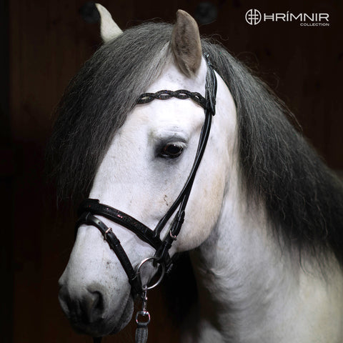 Hrimnir Kombinierter Nasenriemen Lava