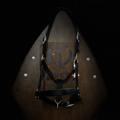 Eques Doppel-Schnallen-Halfter