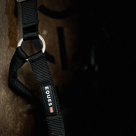 Eques Doppel-Schnallen-Halfter