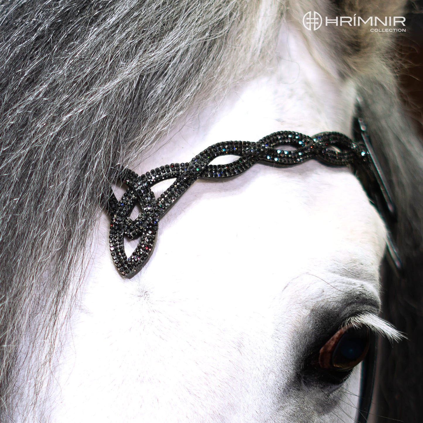 Hrimnir Kopfstück Heritage D - Lava
