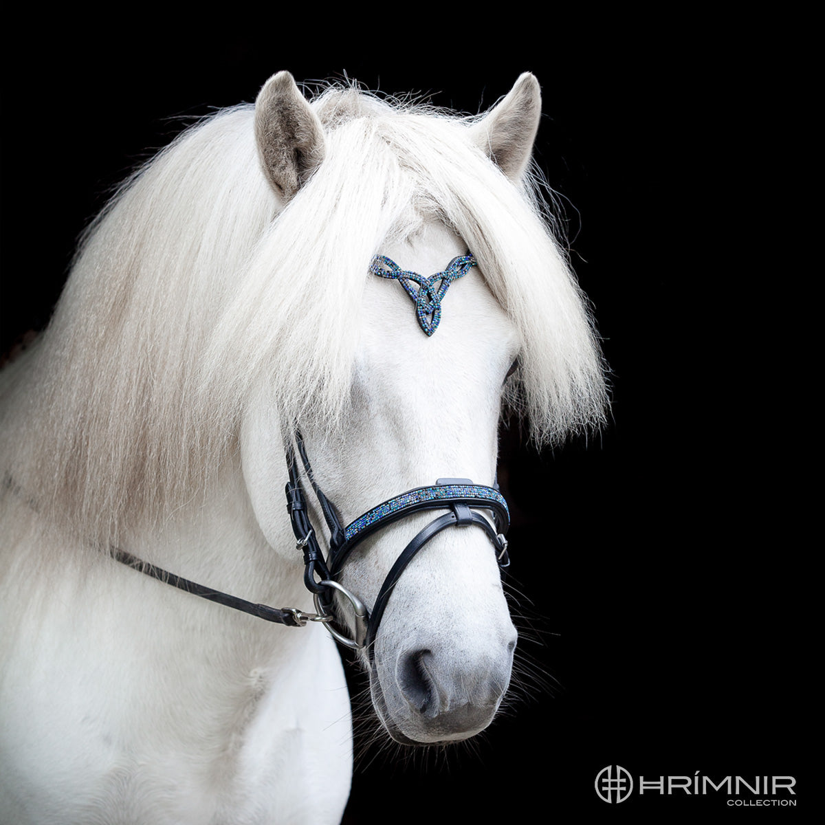 Hrimnir Kombinierter Nasenriemen Blaue Lagune