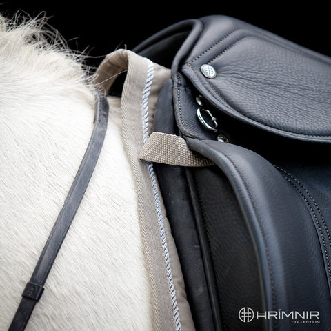 Hrimnir Relief Satteldecke