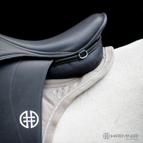 Hrimnir Relief Satteldecke