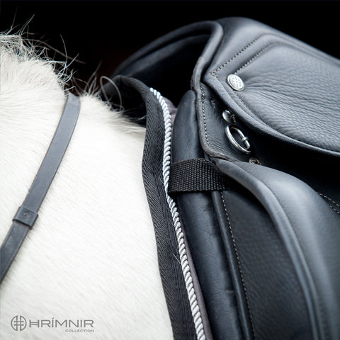 Hrimnir Relief Satteldecke