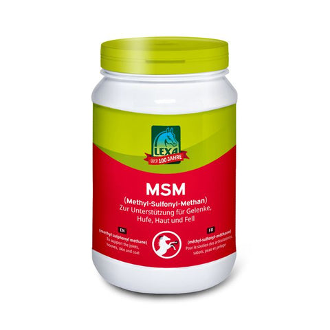 Lexa MSM (Methyl Sulfonyl Methan), 1KG