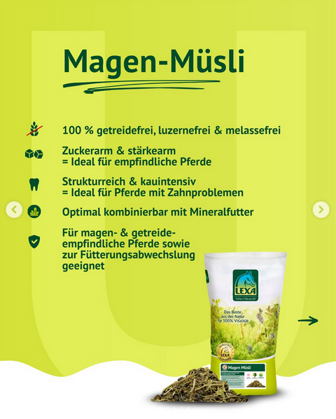 Lexa Magen Müsli