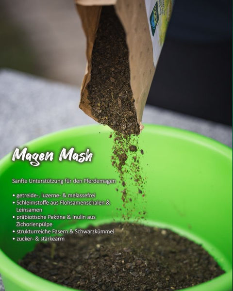 Lexa Magen Mash