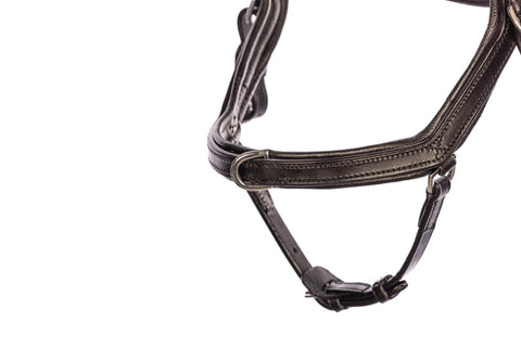 Eques Start Up Trense