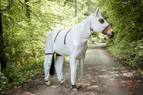RSH Beinlinge mit Klettverschluss für die HINTERBEINE