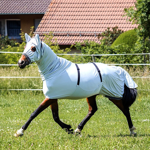 RSH Ekzemerdecke Ljori