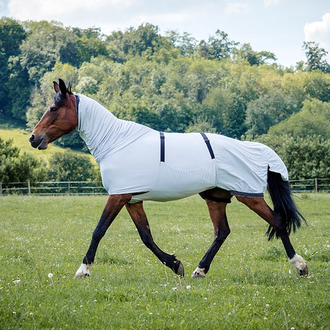 RSH Ekzemerdecke Ljori