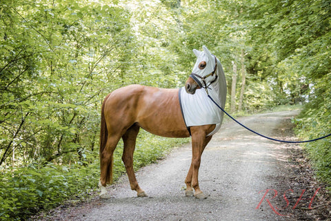 RSH Teilkörperdecke Modell Shari mit Kopfteil