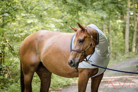 RSH Teilkörperdecke Mosa
