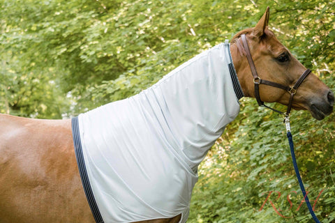 RSH Teilkörperdecke Mosa