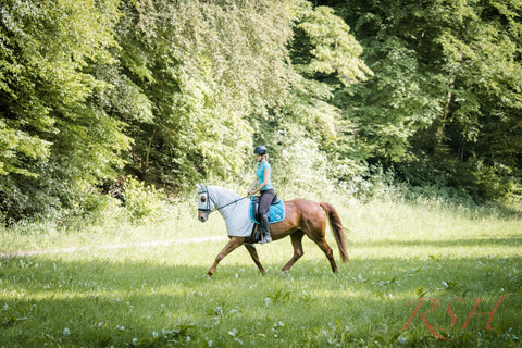 RSH Teilkörperdecke Modell Shari mit Kopfteil
