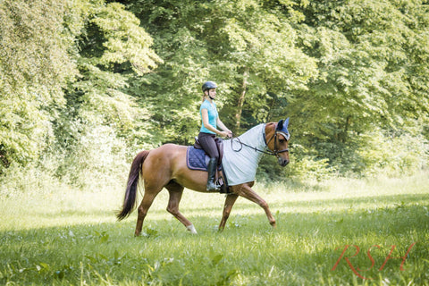 RSH Teilkörperdecke Mosa