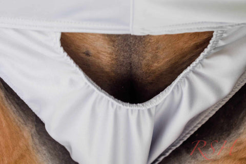 RSH Euter- oder Schlauchschutz