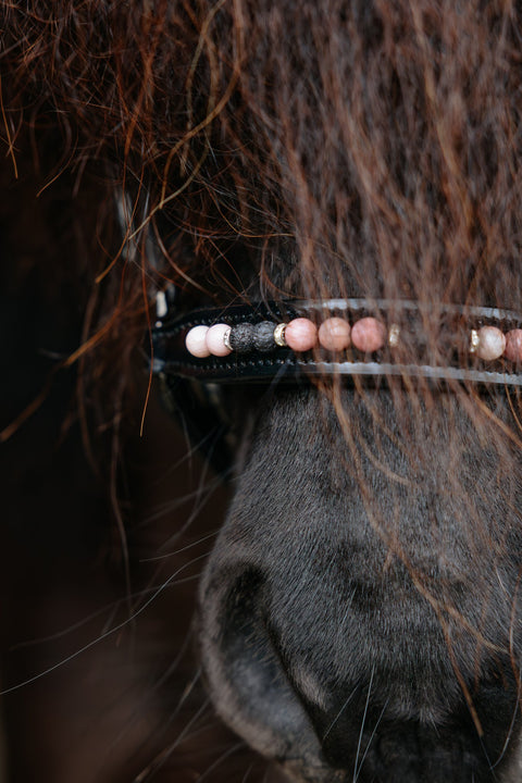 Top Reiter Nasenriemen Orka, hannoveranisch, rosa