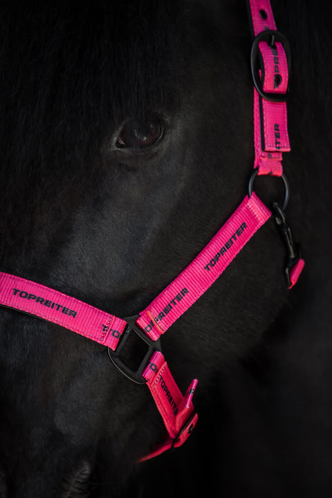 Top Reiter Logo Halfter, pink