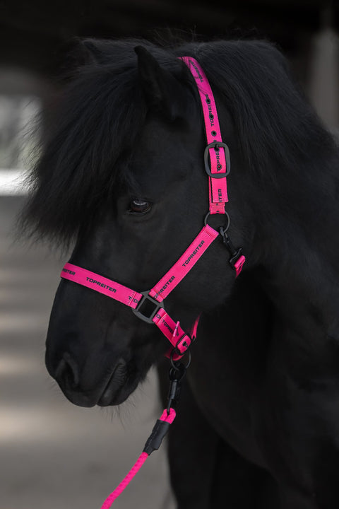 Top Reiter Logo Halfter, pink