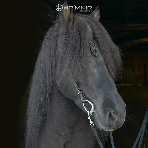 Hrimnir Kopfstück Heritage Unity Lava