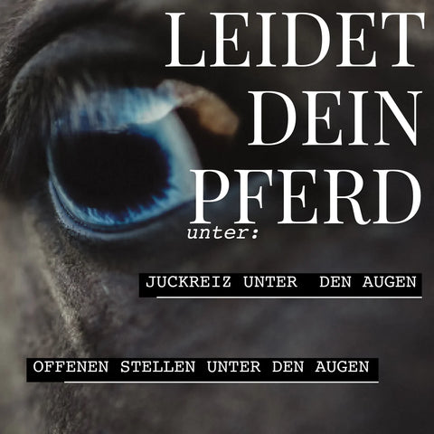 Hestakofi Augencreme