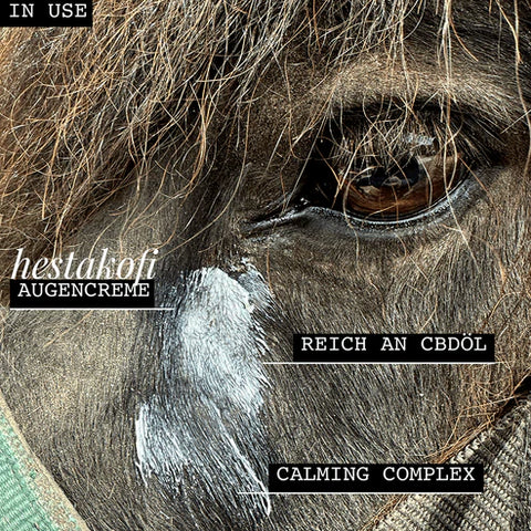 Hestakofi Augencreme