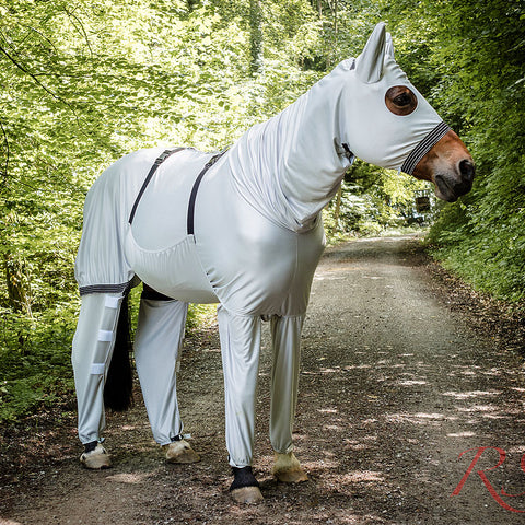 RSH Ekzemerdecke Modell Saela