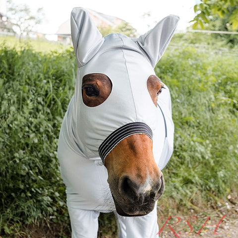 RSH Ekzemerdecke Modell Saela