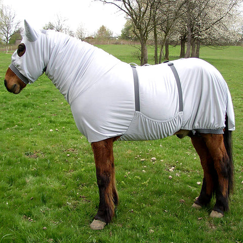 RSH Ekzemerdecke Modell Saela