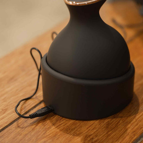 Imperial Riding Grooming & Relaxation Bürste IRHVolta