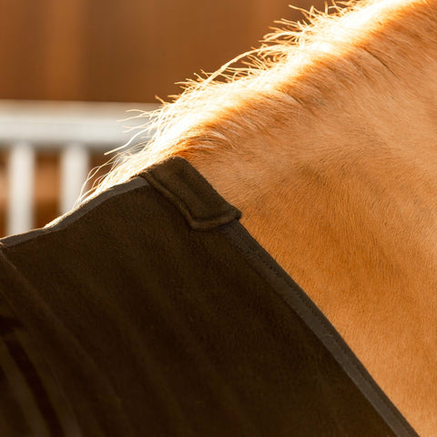 Hrimnir Abschwitzdecke